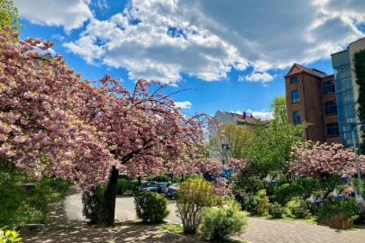 PCS-Standort-Berlin